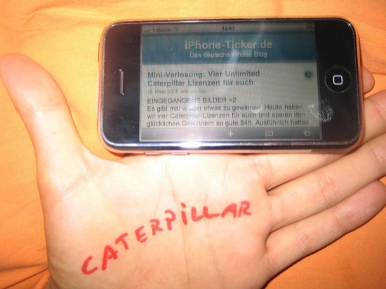 catze1.jpg
