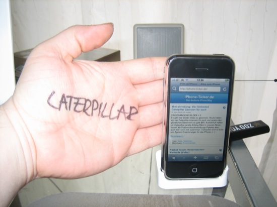 catze2.jpg