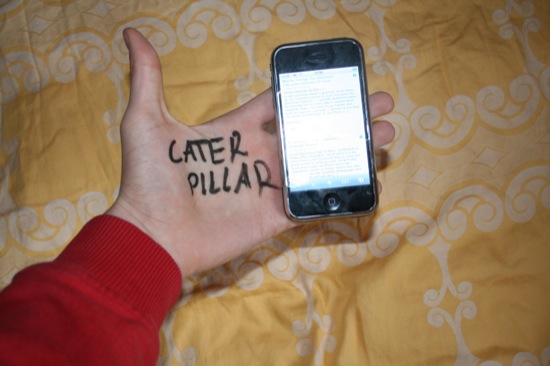 catze5.jpg