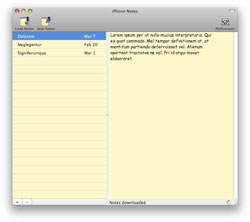 iphonenotes.jpg