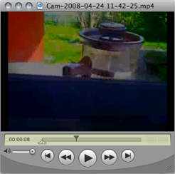 minicamvideo.png