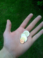 geldhand.jpg