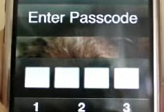 passcodebug.png