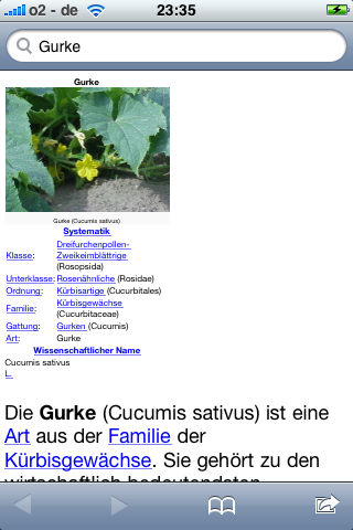 wikip5.PNG