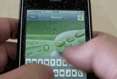 beejivevideo.gif