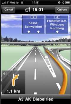 kasselschwein.jpg