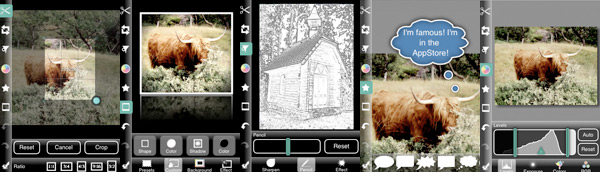 photogene.jpg