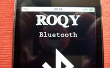 roqy.jpg