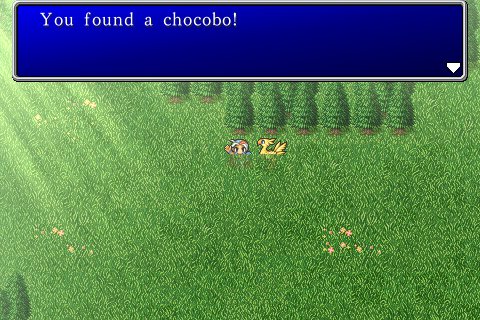 ff1.jpg
