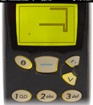 snake
