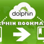 dolphin dolphin