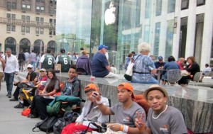 new-york-schlange
