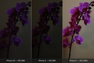 iso-vergleich-cameraplus