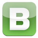 BlinkistIcon