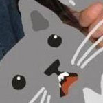 katze