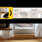 gif-bilder
