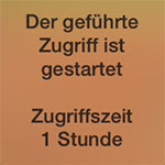 zugriff-icon